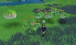 关于草神爆料的视频大全,视频大全带你领略神秘力量